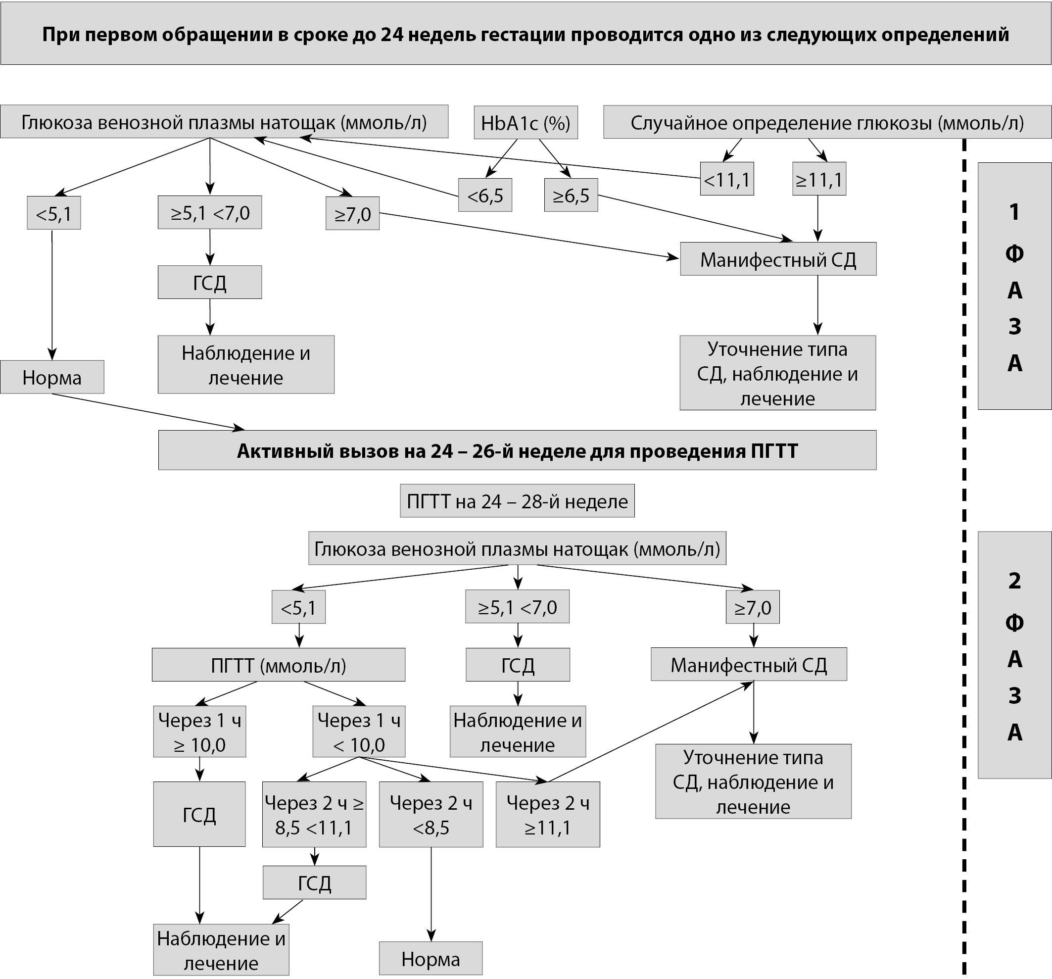 Схема развития диабетических ком