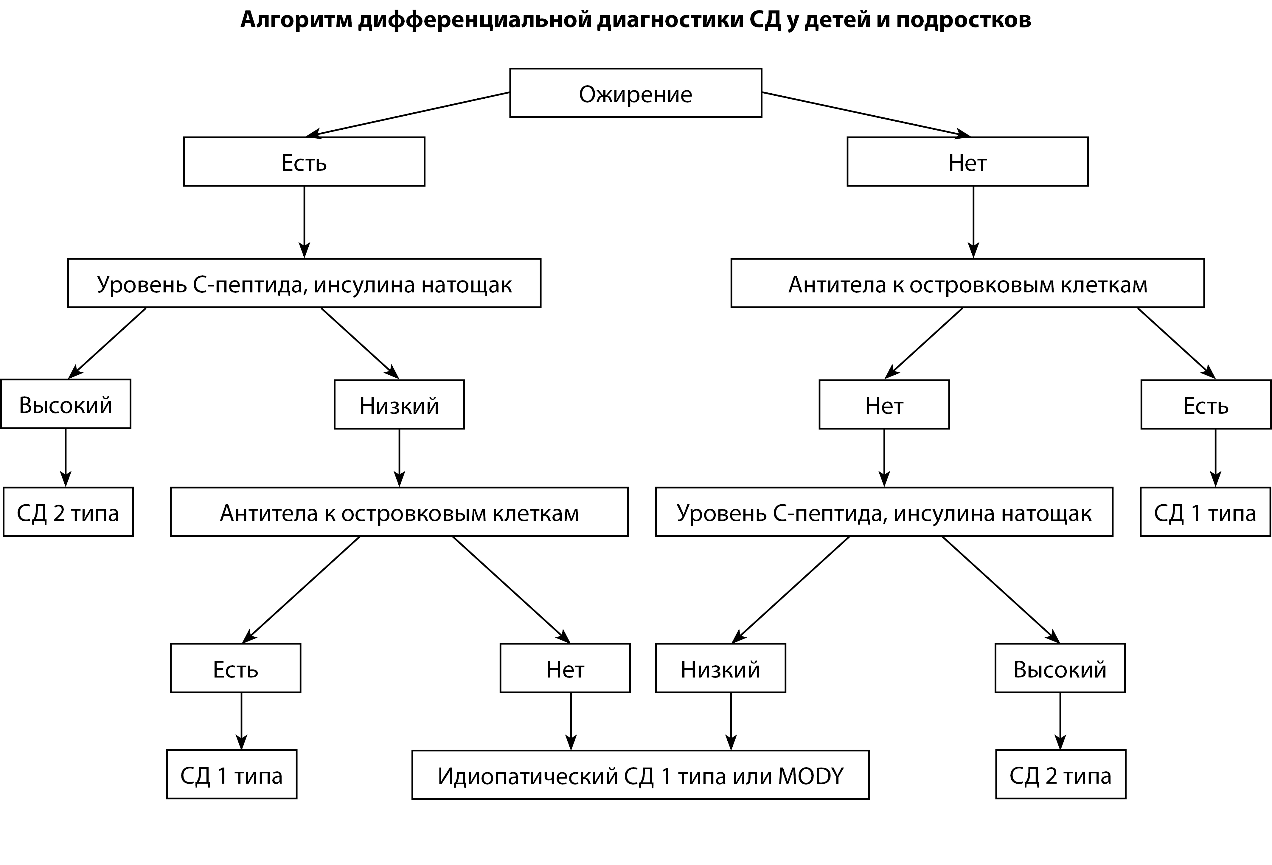 Алгоритмы сд 2022