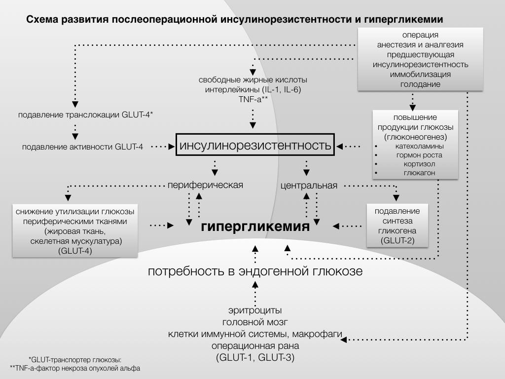 Инсулинорезистентность как лечить в домашних условиях. Инсулинорезистентность патогенез инсулинорезистентности. Симптомы инсулин инсулинорезистентность. Схема формирования инсулинорезистентности. Инсулинорезистентность схема.