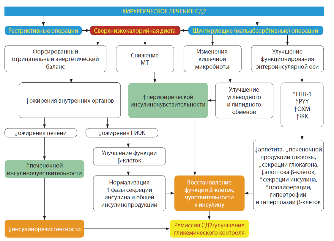 Лечение сд 2. Хирургический сахарный диабет. Хирургическое лечение сахарного диабета. Терапия при СД. Терапия при СД 2.