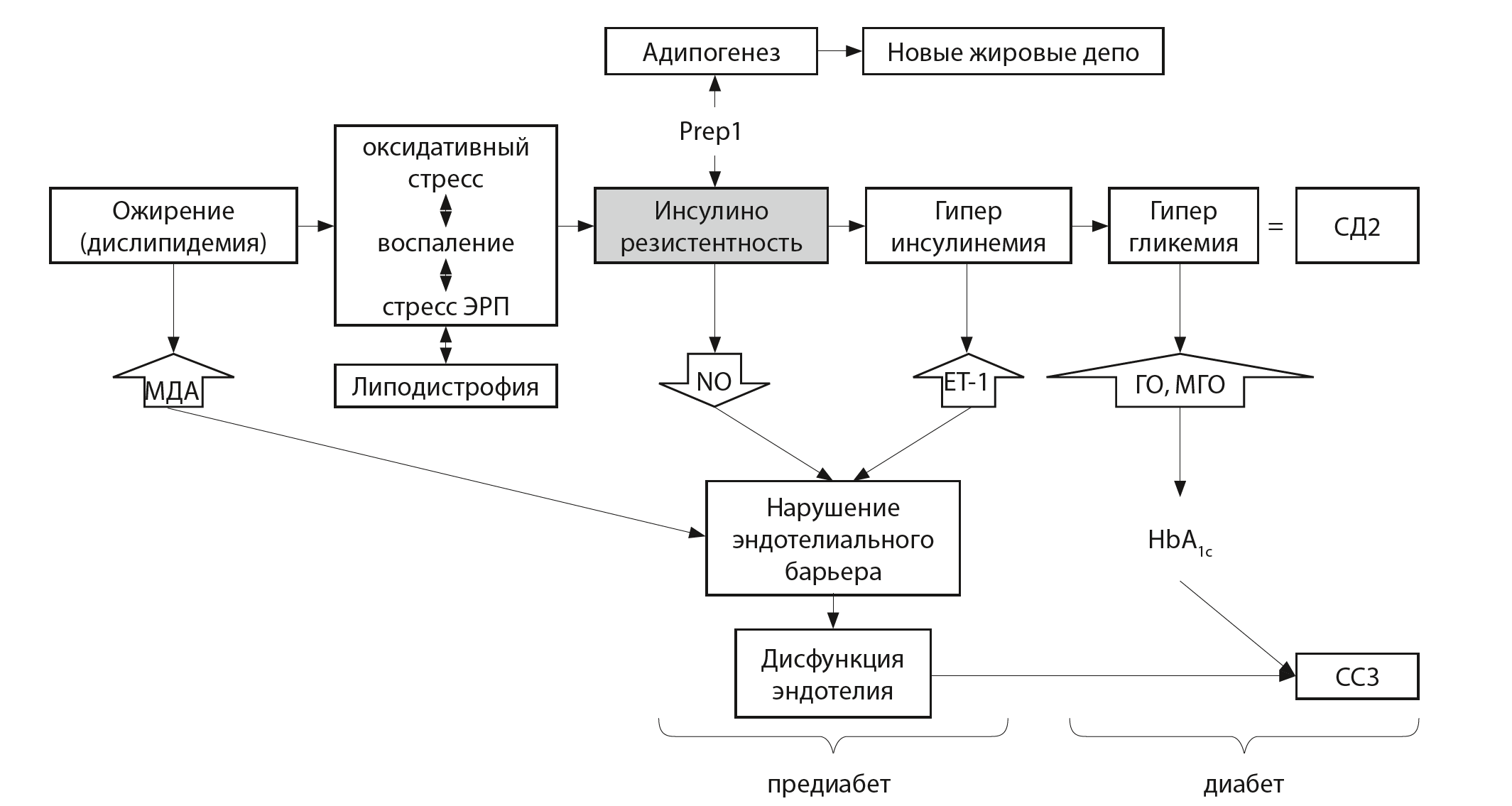 Реферат: Сахарный диабет I тип тяжелое течение субкомпенсация