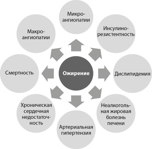 Изображение на обложке