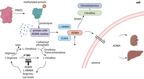 Изображение на обложке
