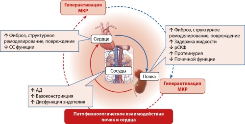 Изображение на обложке