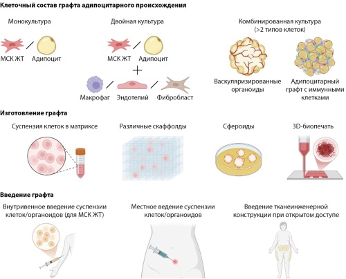 Изображение на обложке