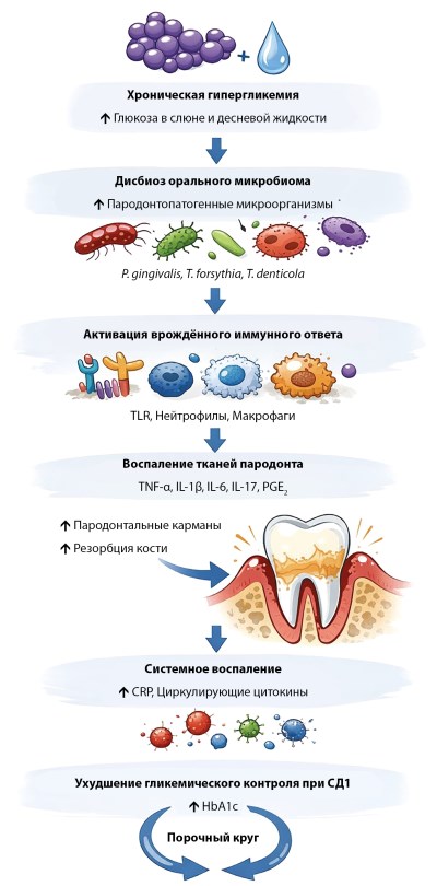 Изображение на обложке