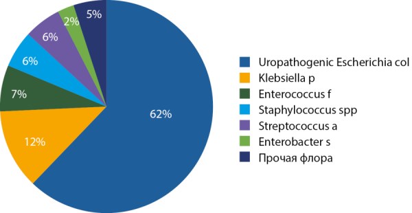 Изображение на обложке